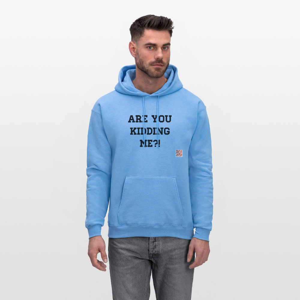 Are you kidding me?! Hoodie - carolina blue